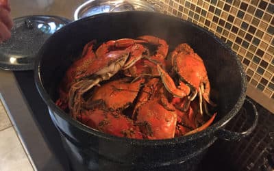 How to Reheat Cooked Crabs